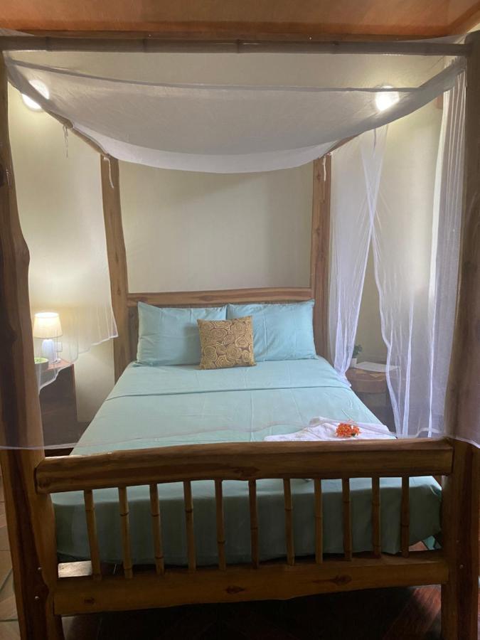 Jazlyn Lodge & Tours 파케라 외부 사진