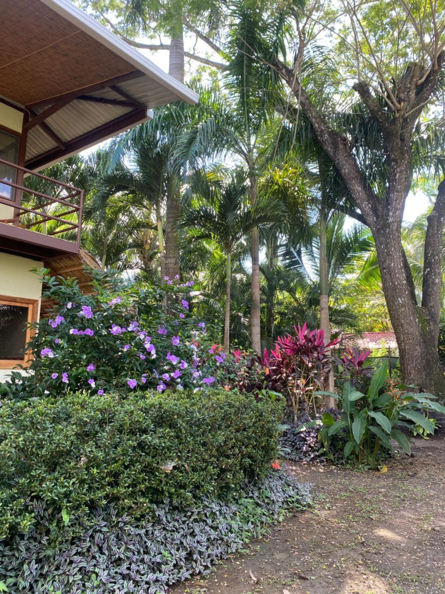 Jazlyn Lodge & Tours 파케라 외부 사진